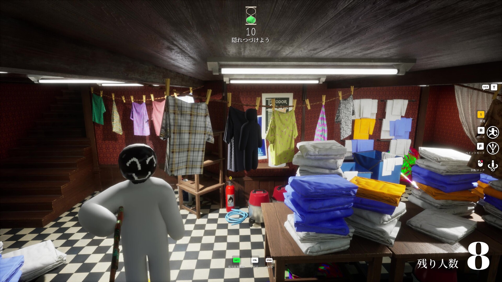 Laundry room hide — Mansion